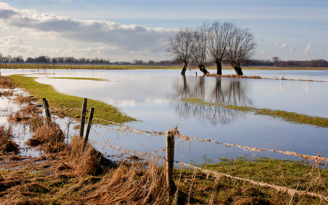 Kopers en huurders krijgen beter zicht op overstromingsrisico